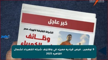9 نوفمبر.. فرص قيادية مميزة في وظائف شركة الكهرباء لشمال القاهرة 2025